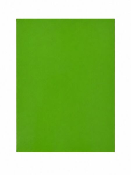 Goprint Solid Serisi Yapışkanlı Vinil Apple Green 25x30.5 cm