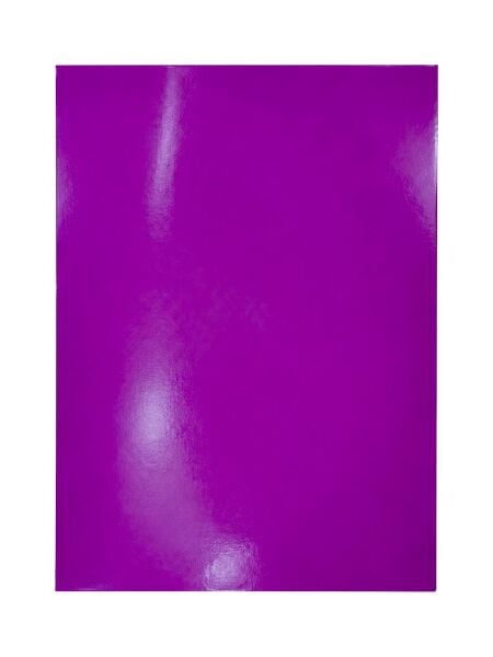 Goprint Solid Serisi Yapışkanlı Vinil Wild Aster 25x30.5 cm